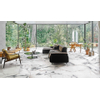 Ceralto Alabro Vein vloer- en wandtegel 60X60cm gerectificeerd Argent Mat SW854885