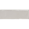 Ceralto Fiorno Select Carrelage mural - 6.5x20.2cm - 8.0mm - Perla SW892530