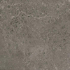Ceralto Nordico R11 Carreau de sol - 100x100cm - 8.5mm - rectifié - anthracite SW856420