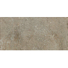SAMPLE Ceralto Divaro Plank Vloertegel 600X1200 Taupe 9.5Mm Mat Ret.R10 SW912649