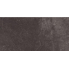 ÉCHANTILLON Ceralto Elmira Plank 300X600 Piazen P3064 Coal SW1122926