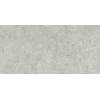 Ceralto Cemento Alto Concrete Carreau de sol - 30x60cm - 10.0mm - rectifié - gris SW928445