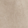 ÉCHANTILLON Ceralto Elmira Plank 450X450 Piazen PE007 Clay SW1122931