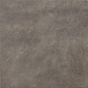 Ceralto Quinto Accent Carrelage de sol - 60x60cm - 10,0mm - rectifié - Mud SW856249