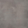 ÉCHANTILLON Ceralto Elmira Plank 600X600 Avenue P6068 Anthracite SW1122917