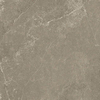 Beste Koop Harmony Carreau de sol - 60x60cm - 10.0mm - rectifié - taupe SW928444