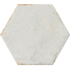 SAMPLE Cir Cotto del campiano Wandtegel 15.8x18.3cm Hexagon Bianco 10mm Glans Wit SW1170711