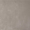 ÉCHANTILLON Ceralto Ceramapolo Piazen Carreau de sol 45x45cm 8.5mm Iron Mat SW1221105