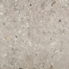 Ceralto Rovere Alto Oak Vloertegel - 60x60cm - 9.5mm - gerectificeerd - Sabbia SW856373