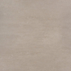 Ragno Concept Vloertegel - 60x60cm - 9.5mm - gerectificeerd - Greige WTW11220