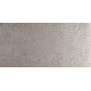 Douglas jones Marbles Carrelage mural décor - 30X60 - 9,5mm - rectifié - Plata Mat SW917645