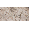 Vtwonen Tegels Composite Vloertegel - 30x60cm - 9.0mm - gerectificeerd - Sand SW856272