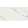 Ceralto Aurelio Carrelage de sol - 60x120cm - 8.5mm - rectifié - Statuario light SW856383