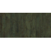 Ceralto Huevale Hue Carreau mural - 29.5x59.5cm - 10.4mm - rectifié - Vert SW957745