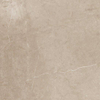 ÉCHANTILLON Ceralto Elmira Plank 600X600 Piazen P6073 Argile SW1122935