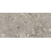 Ceralto Rovere Alto Oak Vloertegel - 60x120cm - 9.5mm - gerectificeerd - Grigio SW856380