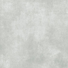 ÉCHANTILLON Ceralto Regalia Luxe 900X900 Marbles Vita Gris SW1122978