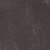 ÉCHANTILLON Ceralto Elmira Plank 600X600 Piazen P6074 Coal SW1122936