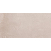 SAMPLE Ceralto Elvano Accent Vloertegel - 30x60cm - 9.5mm - gerectificeerd - Greige SW911995