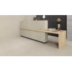 Ceralto Ravina Slate Carrelage de sol - 60x60cm - 9.0mm - rectifié - Artic SW798652