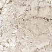 Ceralto Alabro Vein Vloertegel - 120x120cm - 6.0mm - gerectificeerd - Glacier SW856313