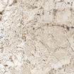 Douglas Jones Magnum carrelage sol et mur 120x120cm rectifié glacier brillant SW856313