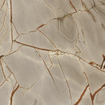 Ceralto Alabro Vein carrelage sol et mur 120X120cm rectifié Rainforest mat SW856368