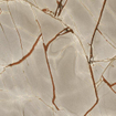 Ceralto Alabro Vein Vloertegel - 120x120cm - 6.0mm - gerectificeerd - Rainforest SW856329