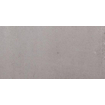 SAMPLE Ceralto Elvano Accent Vloertegel 300X600 Titan 9.5mm Mat Ret.R10 SW912021