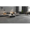 Ceralto Dorsena Plank Vloertegel - 59.5x119.2cm - 9.2mm - gerectificeerd - Light SW798662