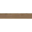 Ceralto Alvera Plank 221992 Vloertegel 250X1500 Oak 9mm Mat Ret.R10 SW877854
