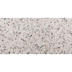 Vtwonen Tegels Terrazzo Vloertegel - 59.5x119.2cm - 10.0mm - gerectificeerd - Ice flakes SW798711