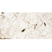 Ceralto Alabro Vein carrelage sol et mur 60X120cm rectifié Tundra Mat SW857211