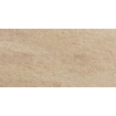 Floorgres Walks 1.0 Vloer- en wandtegel 40x80cm 10mm gerectificeerd R11 porcellanato Beige WTW10307