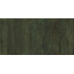 Ceralto Huevale Hue Carreau mural - 29.5x59.5cm - 10.4mm - rectifié - Vert SW957745