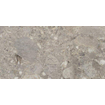 Ceralto Rovere Alto Oak Carreau de sol - 30x60cm - 9.5mm - rectifié - Grigio SW856362