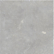 Ceralto Micello R11 Vloertegel - 80x80cm - 10.0mm - Gent SW917555