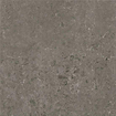 Serenissima Concreta Vloertegel - 60x60cm - 9.5mm - gerectificeerd - Antracite SW877852