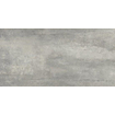 Floorgres Rawtech Vloer- en wandtegel 30x60cm 10mm gerectificeerd R10 porcellanato Dust SW93938