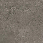 Serenissima Concreta Vloertegel - 100x100cm - 8.5mm - gerectificeerd - Antracite SW856420