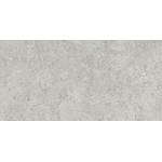 Ceralto Cemento Alto Concrete Carreau de sol - 30x60cm - 10.0mm - rectifié - gris SW928445