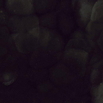 Vtwonen Tegels Onyx Carrelage sol et mural - 60x60cm - 9mm - rectifié - Brillant deep dark (anthracite) SW970160