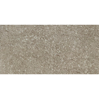 Douglas jones Province Vloer- en wandtegel - 40X80 - 9,5mm - gerectificeerd - Taupe Mat