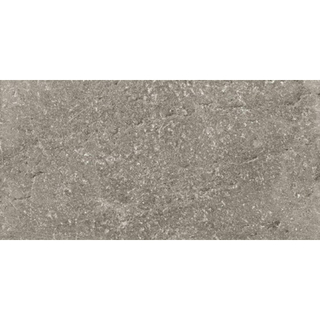 Douglas jones Province Vloer- en wandtegel - 40X80 - 9,5mm - gerectificeerd - Grey Mat