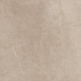 SAMPLE Cera 450X450 Piazen PE008 Coal