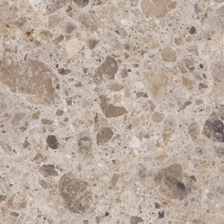 Vtwonen Carrelage composite 80X80cm Sable 9mm Mat