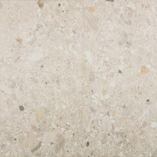 Cercom Ceppo di Gres Vloertegel - 60x60cm - 9.5mm - gerectificeerd - Avoiro