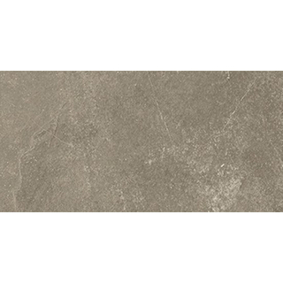 Beste koop Harmony Carrelage de sol et mural 30X60 Taupe 10mm Mat Ret.R10