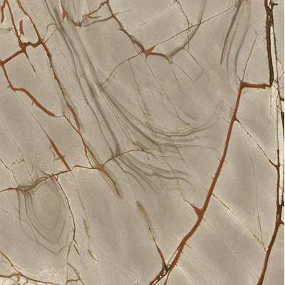 Ceralto Alabro Vein Carreau de sol - 120x120cm - 6.0mm - rectifié - Rainforest