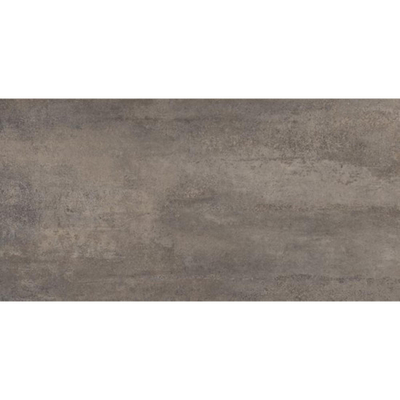 Ceralto Quinto Accent Carreau de sol - 30x60cm - 10.0mm - rectifié - Mud